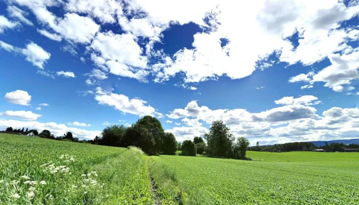 Stange -  Street View 360deg - Stange
