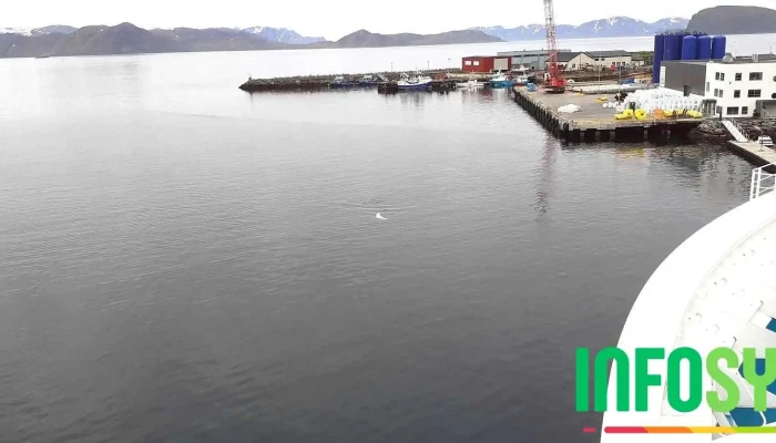 Statens Vegvesen Hammerfest Trafikkstasjon Alle - Hammerfest