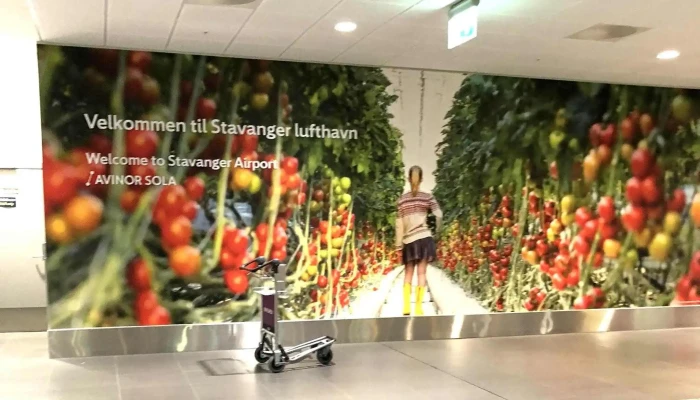 Stavanger Lufthavn Sola -  Videoer - Sola
