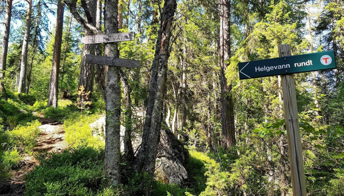 Sti Kryss Helgevann -  Alle - Kongsberg