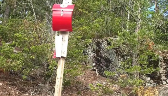 Sti T46 Vindsas Tinnesasen Videoer - Notodden