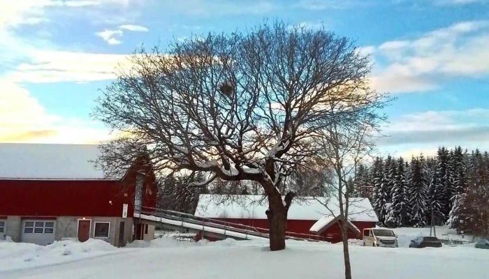 Stiftelsen Guts avd. Finnerud Gård - Vikersund