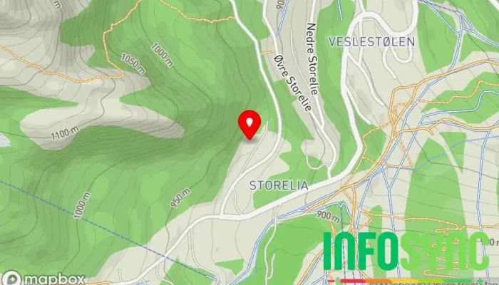 kart over Storelia Lodge AS Hytteutleie i Hemsedal