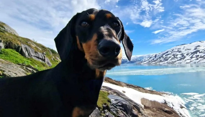 Storglomvatnet -  Kampanje - Glomfjord