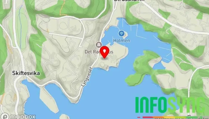 kart over Strusshamn kirke Kirke i Strusshamn