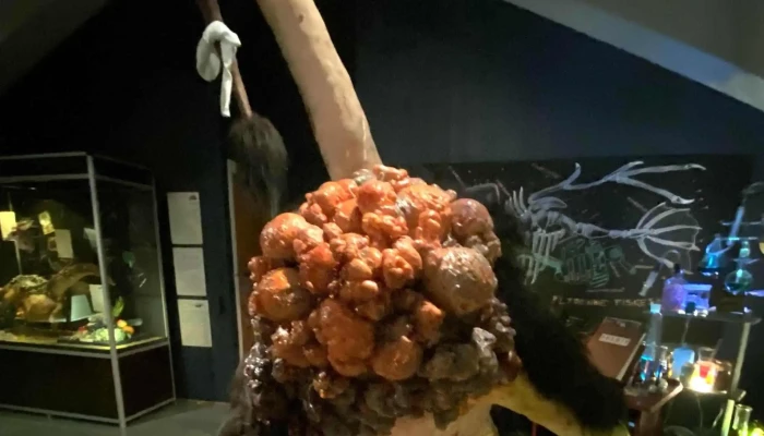 Sunnhordlandstunet -    Sunnhordland Museum Stord - Stord