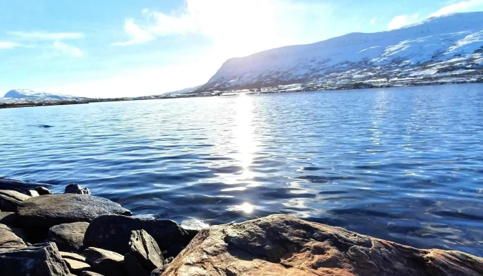 Syndinstoga Anmeldelser - Ryfoss