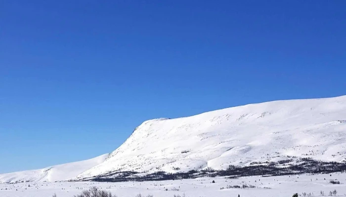 Syndinstoga Kafe - Ryfoss