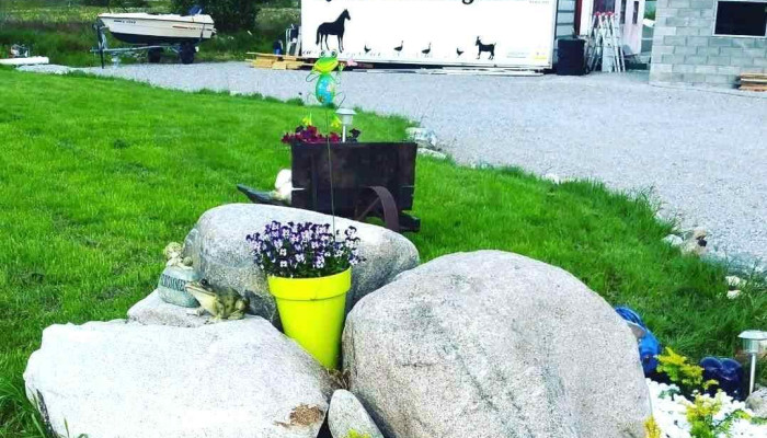 Synes Besoksgard Eksterior - Vigra