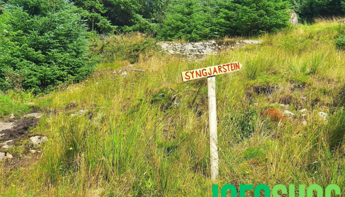 Syngjarsteinen på Skåra - Egersund
