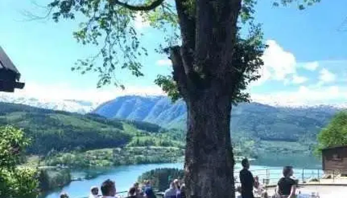 Syse Gard -  Fra Eieren - Ulvik