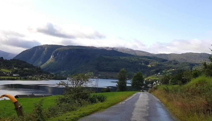 Syse Gard -  Kampanje - Ulvik