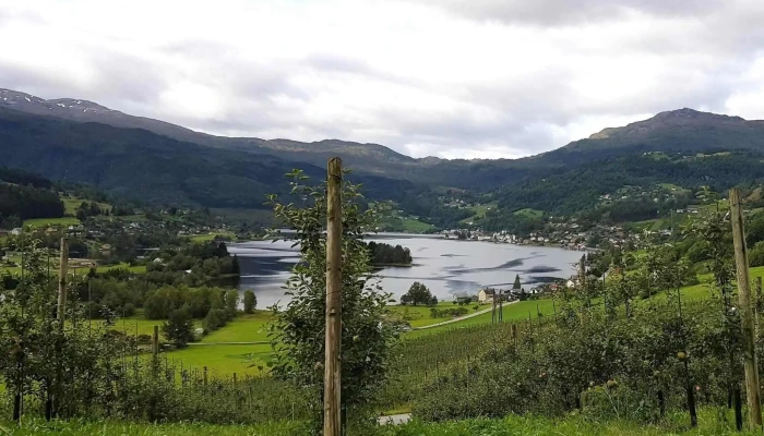 Syse Gard -  Område - Ulvik