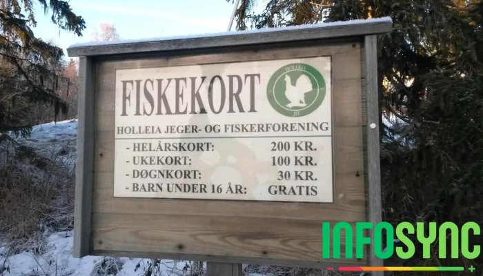 Sysletjernveien Bomstasjon - Vikersund