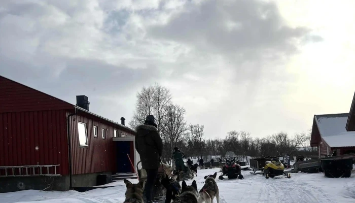 Tana Husky -  Priser - Tana Bru