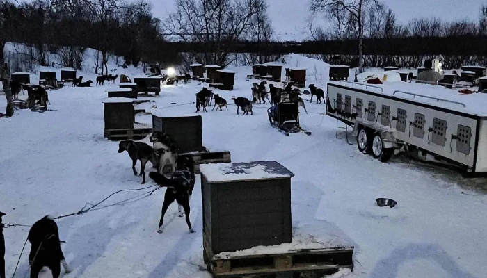 Tana Husky -  åpen Nå - Tana Bru