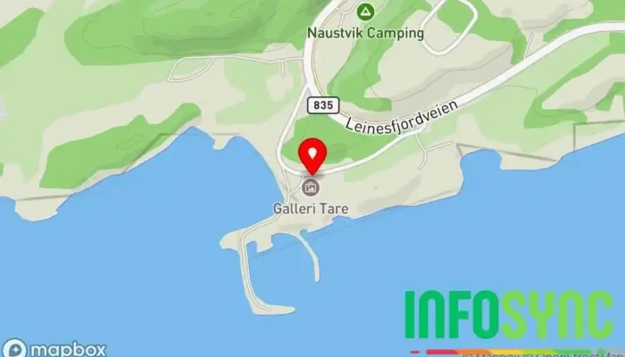 Tare Steigen Air - Leinesfjord