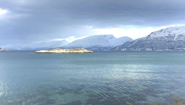 Team Lyngen Tours -  Hvor - Lyngseidet
