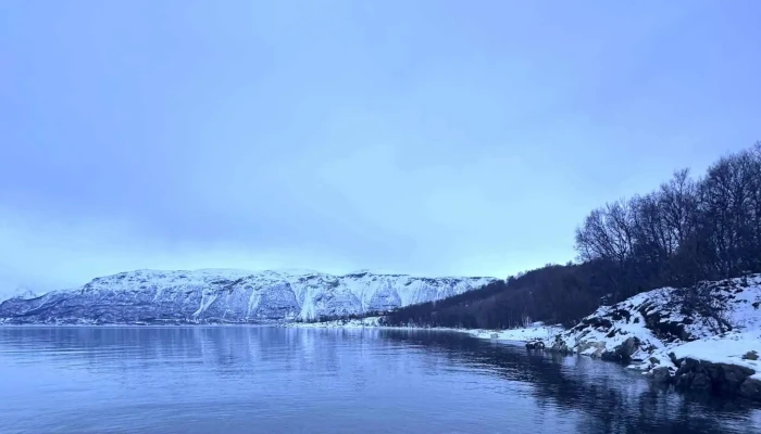 Team Lyngen Tours -  Rabatter - Lyngseidet