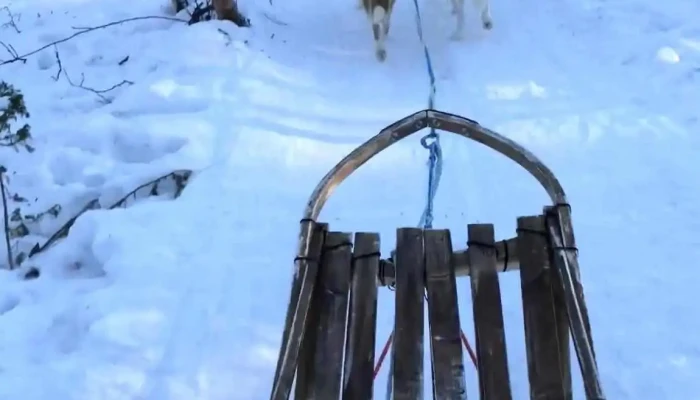 Team Lyngen Tours -  Videoer - Lyngseidet