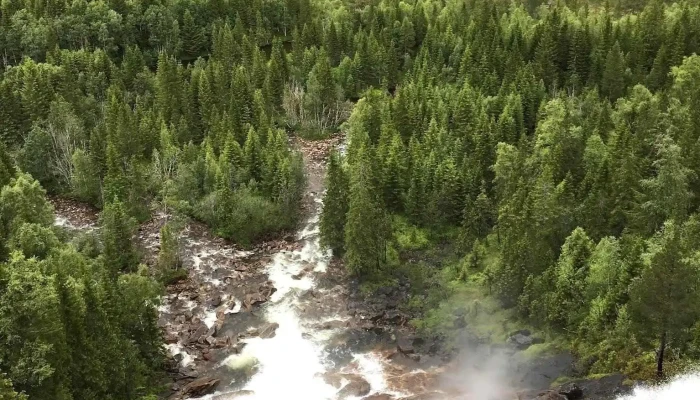 Terrak Alle - Terråk