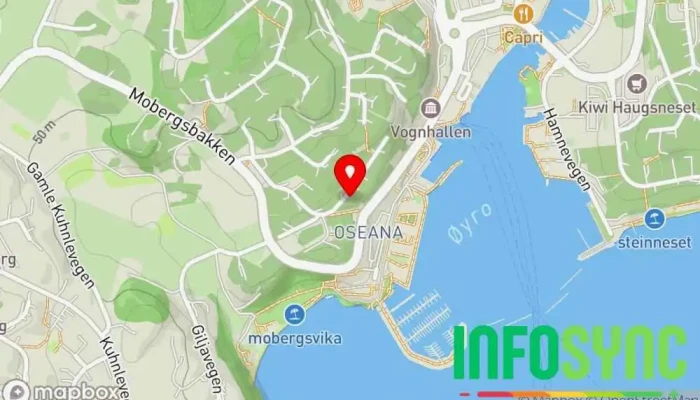 kart over Tor Anders Hauge Taxiselskap i Os