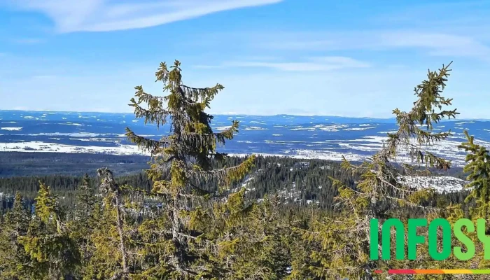 Totenasen Fjell - Skreia