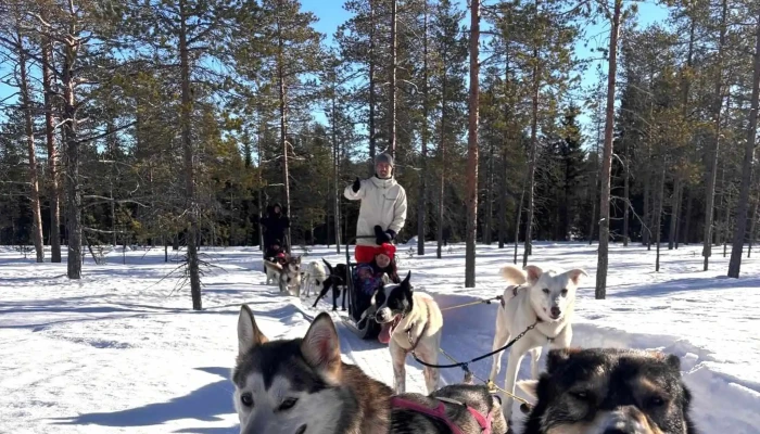 Trysil Husky -  Bilder - Tørberget