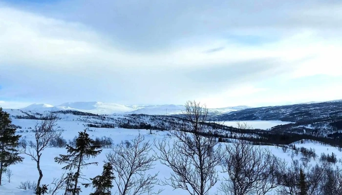 Tydal Skisenter As -  Kampanje - Tydal