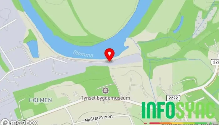 kart over Tynset Vaktselskap AS Sikkerhetstjeneste i Tynset