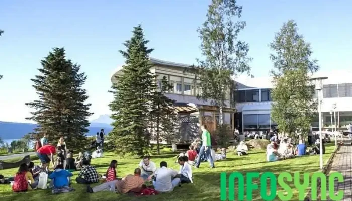 Uit Norges Arktiske Universitet I Narvik Alle - Narvik