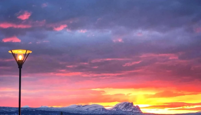 Uit Norges Arktiske Universitet I Narvik Hvordan Komme Dit - Narvik