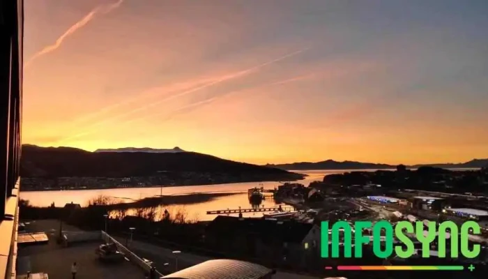 Uit Norges Arktiske Universitet I Narvik Videoer - Narvik