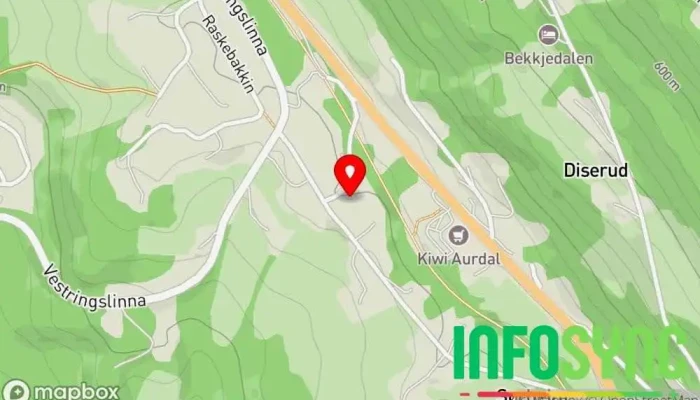 kart over Valdres Sikkerhet og Service AS Leverandør av sikkerhetssystemer i Aurdal