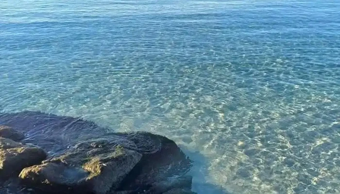 Veavågen - Kopervik