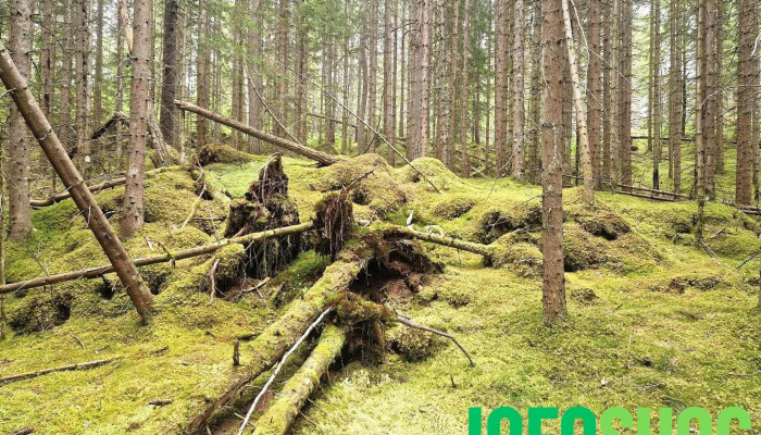 Vesterland Feriepark -  Sist Opplastet - Kaupanger