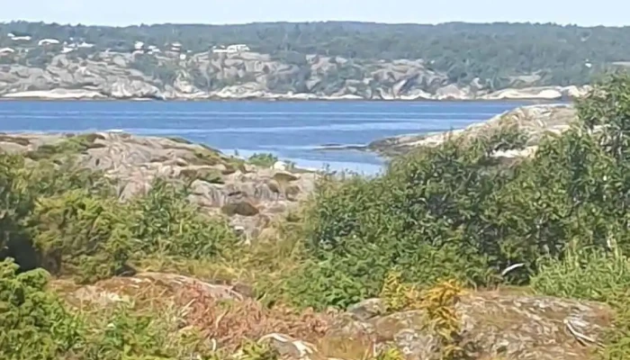 Vestre Rauane - Norge