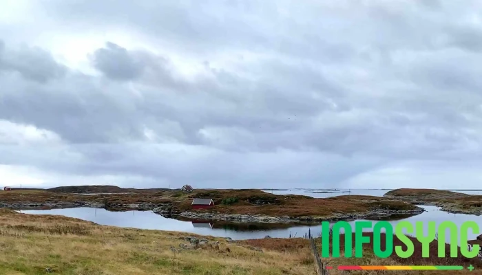 Villsaugarden Videoer - Smøla