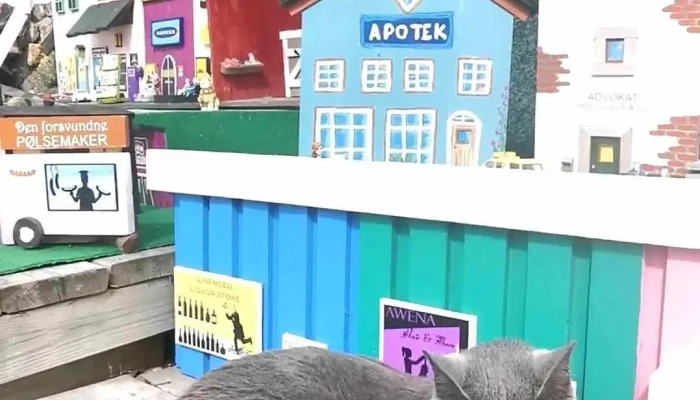 Visit Lofoten -  Videoer - Svolvær