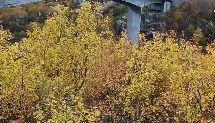 Ytter -  Vikna Videoer - Rørvik